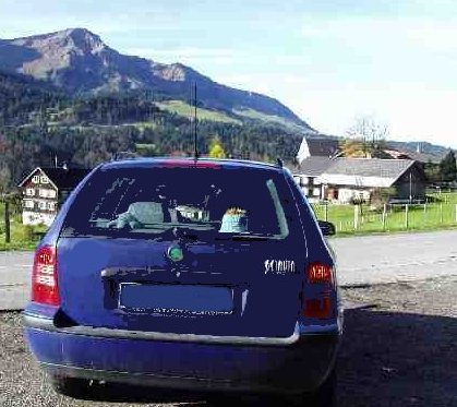 klorolle vor alpinem Hintergrund